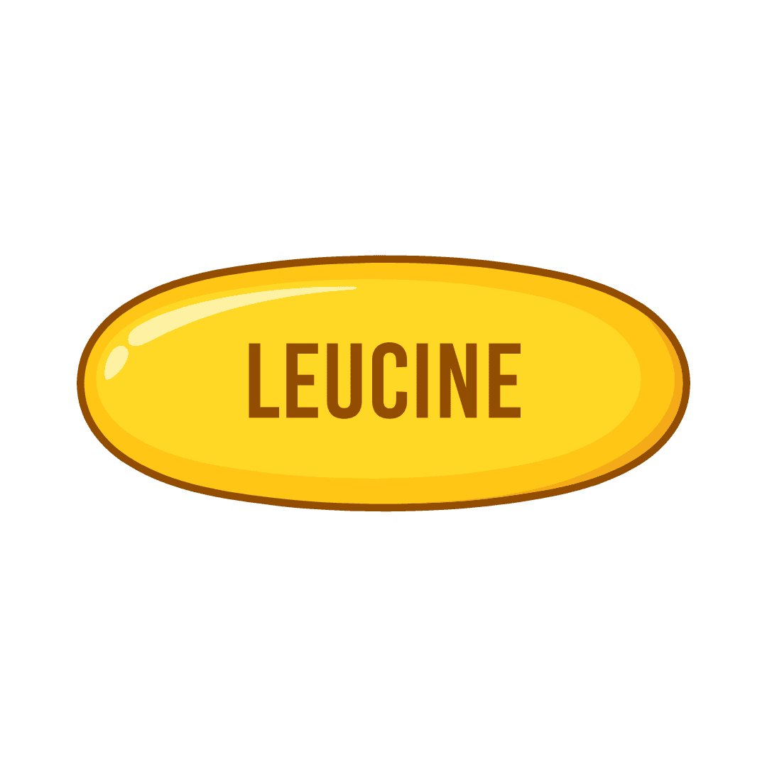 Leucine