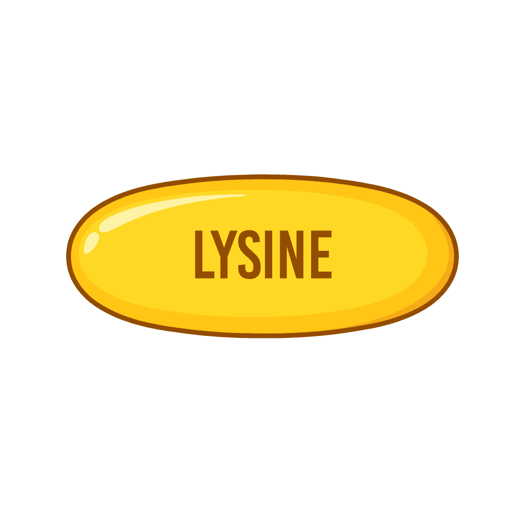 Lysine