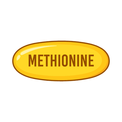 Methionine