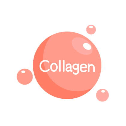 Type IX collagen