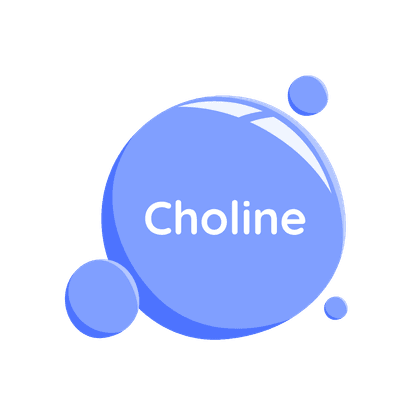Cytocoline (CDP-choline)