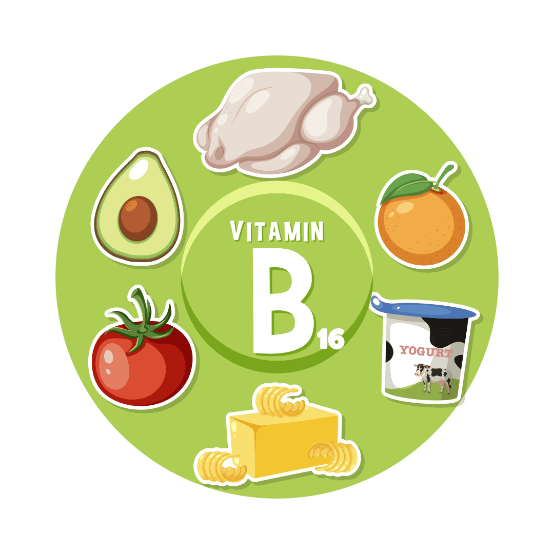 Dimethylglycine, B16, DMH