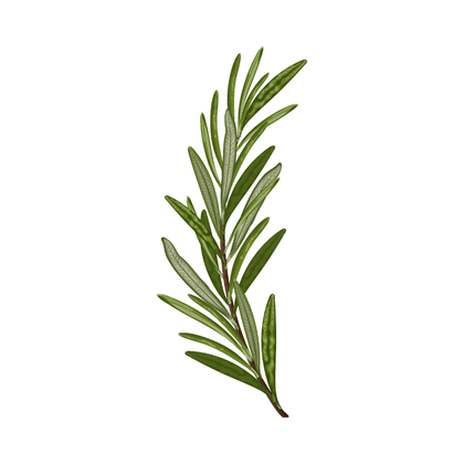Rosemary