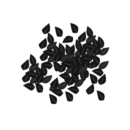Black cumin